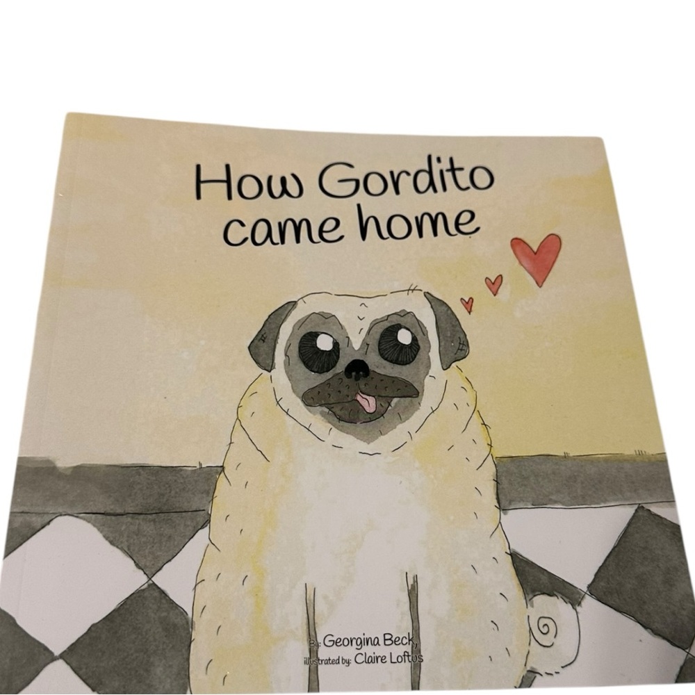 Children’s Book NWT How Gordito Came Home Book